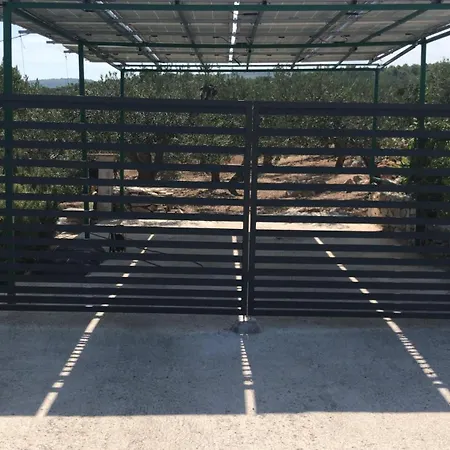 בית נופש Maslina House