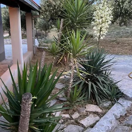 בית נופש Maslina House *